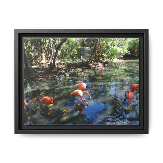 Matte Canvas, Black Frame
