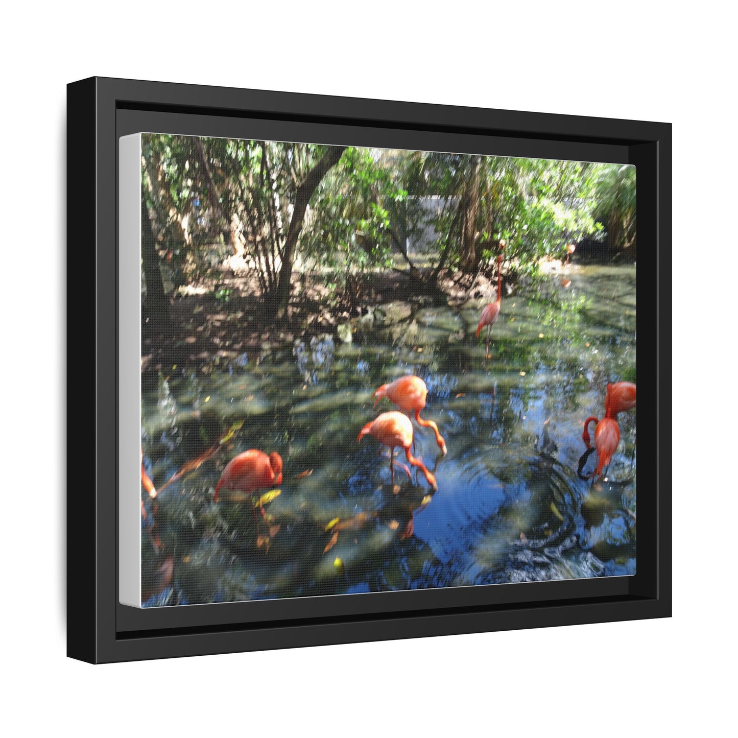Matte Canvas, Black Frame